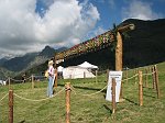 1° Convegno 'Il lupo nel Parco delle Orobie' - 5° Campionato Cani Pastore per Bovini 